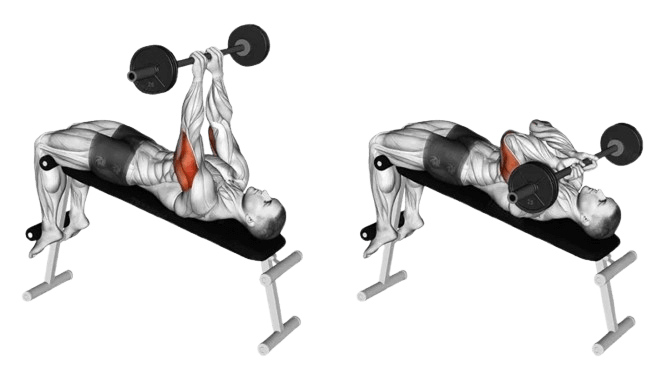 Barbell_Skull_Crushers