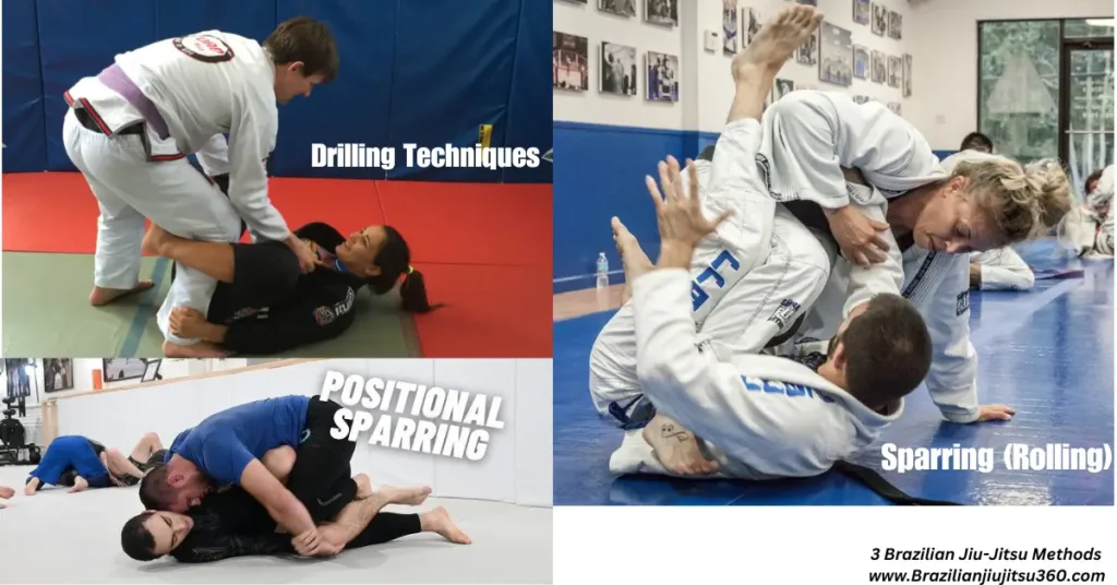 3 Brazilian Jiu-Jitsu Methods - camparision with Japanese Jiu-Jitsu