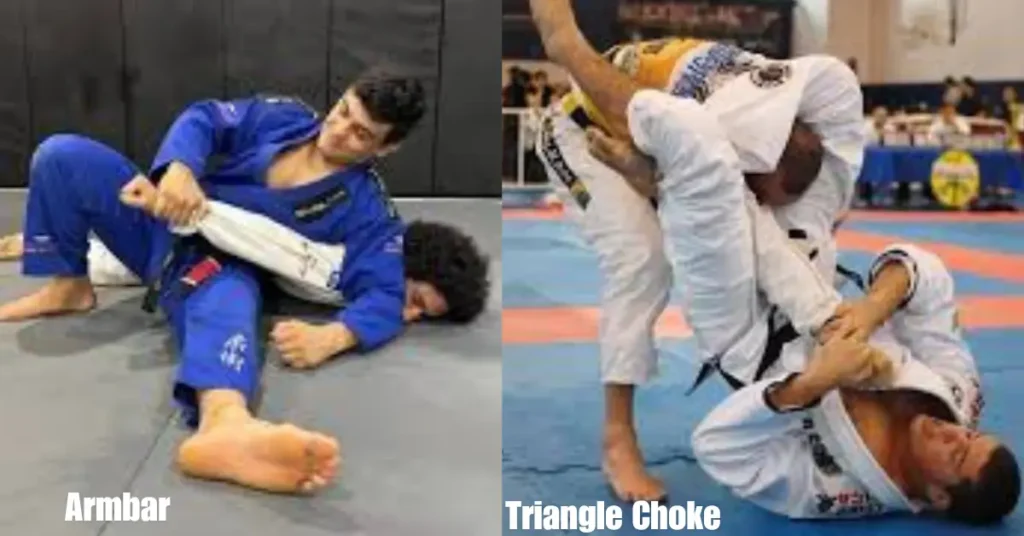 BJJ White Belt Technique Armbar and Triangle Choke