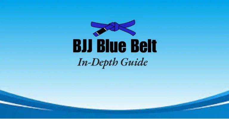 BJJ blue Belt Feather image for brazilianjiujitsu360 article