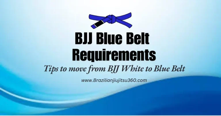 Article feather image about BJJ Blue Belt Requirements