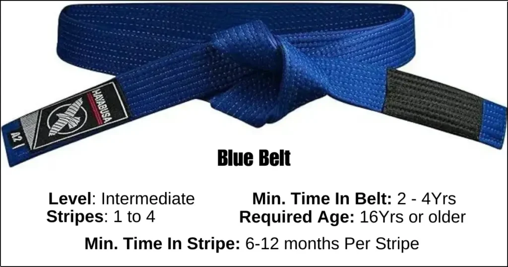Brazilian Jiu-Jitsu Blue Belt Details