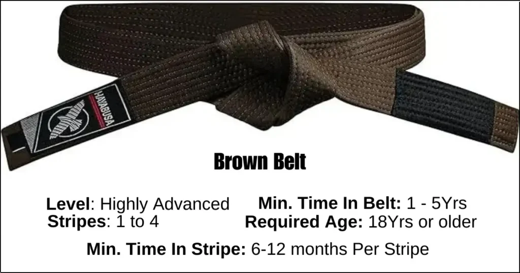 Brazilian Jiu-Jitsu brown Belt Details