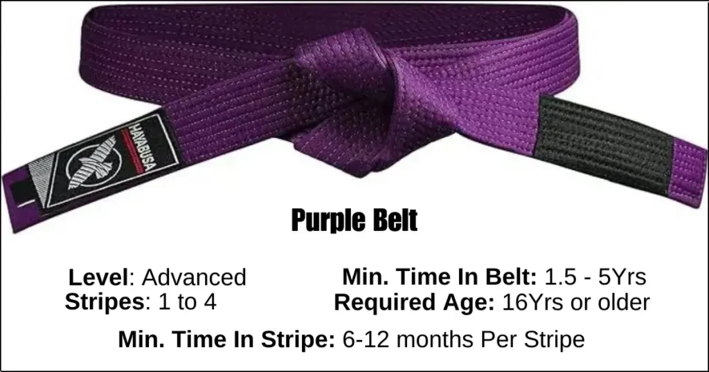 Brazilian Jiu-Jitsu Purple Belt Details