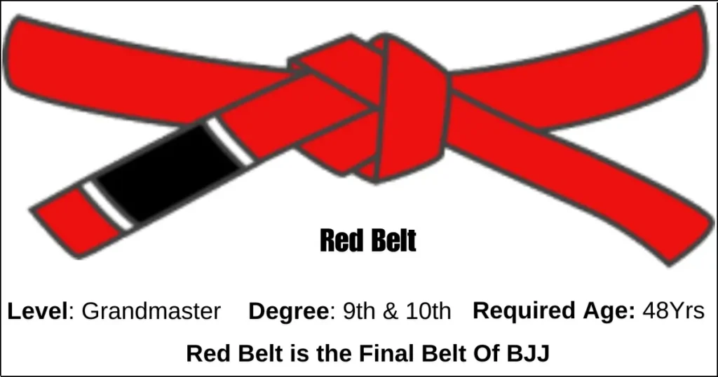 Brazilian Jiu-Jitsu Red Belt Details