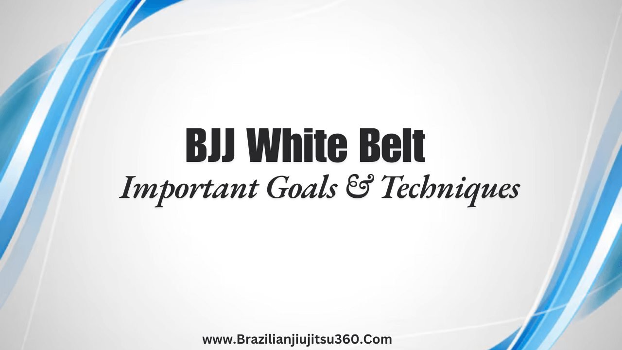 BJJ White Belt article feather image