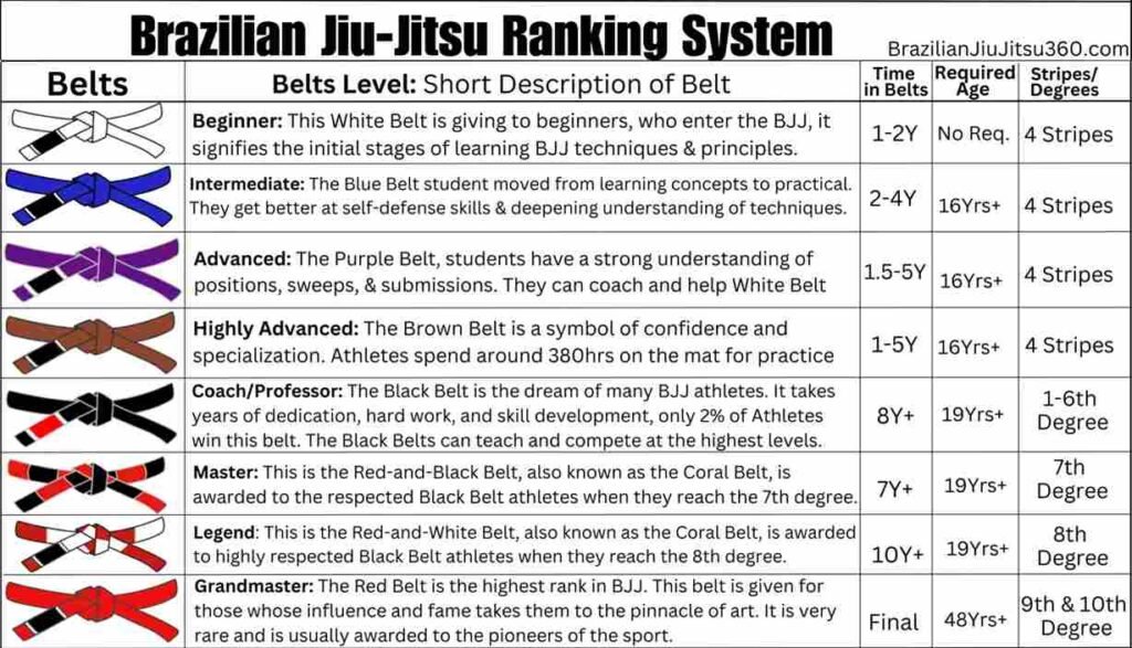 BJJ Ranking System