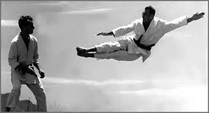 Carlos Gracie and Helio Gracie are practicing BJJ