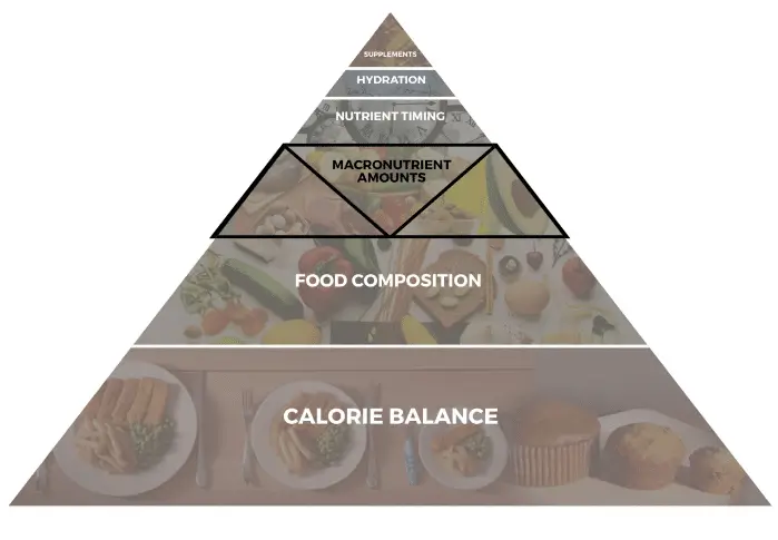 Macronutrient_Amounts_Image_of_Understanding_Healthy_Eating_Book_Image_Food_Composition Book