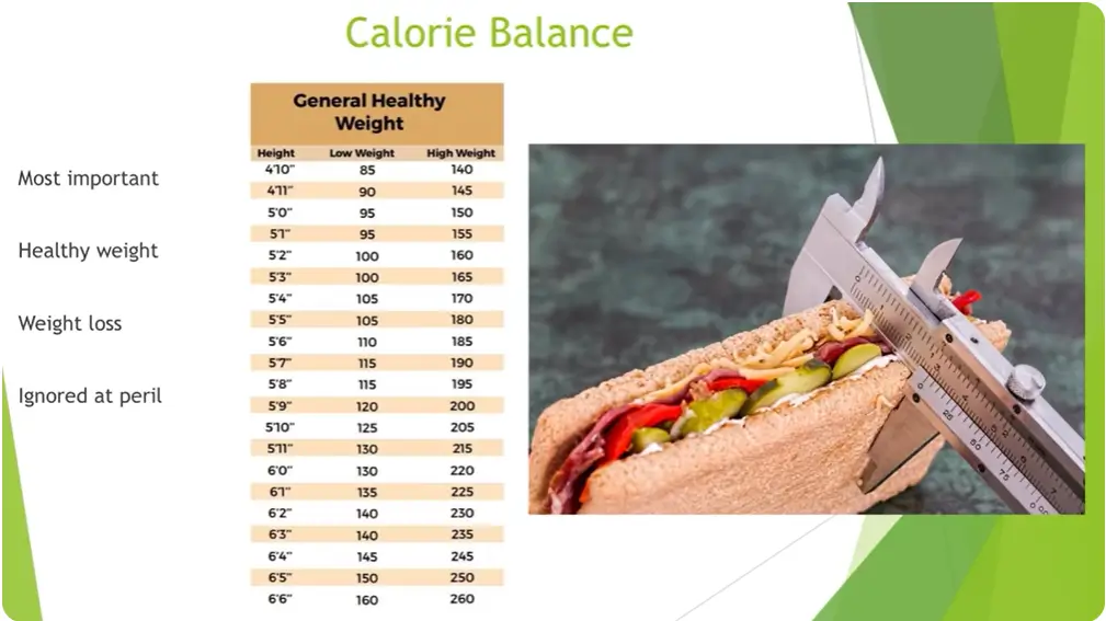 Mike Israetel TED Talk the Calorie Balance