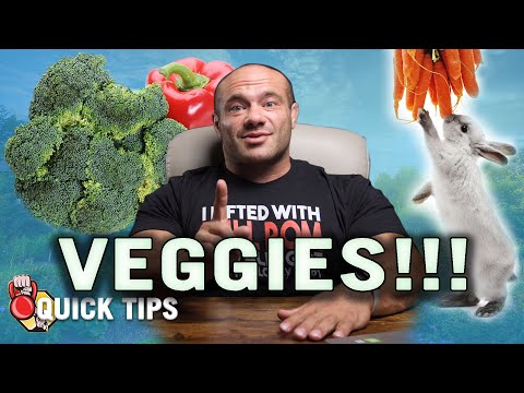 Mike Israetel view for veganism