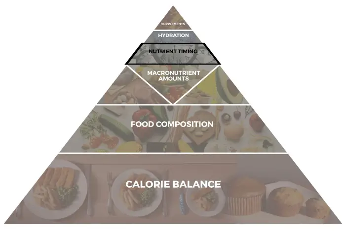 Nutrient_Timing_Image_of_Understanding_Healthy_Eating_Book_Image_Food_Composition Book