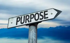 Purpose of jiu-jitsu and BJJ