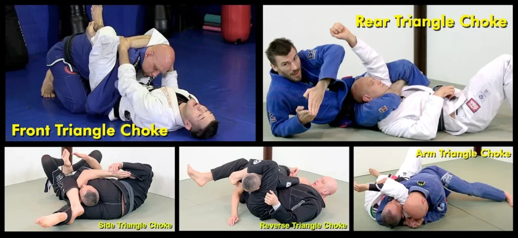 There are 5 types of Triangle choke: the standard triangle choke, the rear triangle choke, the side triangle choke, the reverse or inverted triangle choke, and the arm triangle choke,